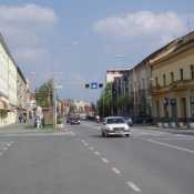 Slavonski