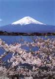 Mount Fuji
