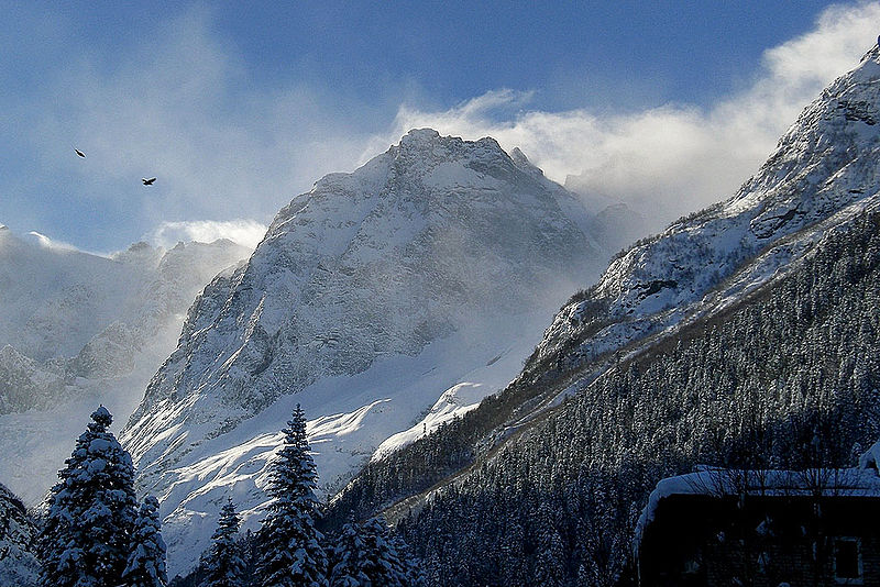 Caucus Mountains
