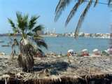 Latakia