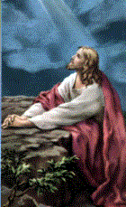Jesus in Gethsemane